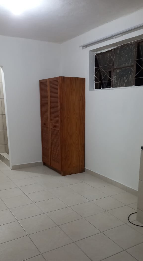 Bachelor In Bezuidenhout Valley