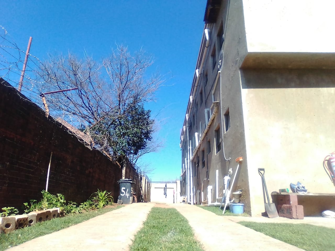Bachelors in Vrededorp